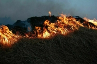 Пожары в Рязанской области полностью локализовали