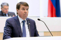 Сенатор Цеков обвинил страны Прибалтики и Польшу в игнорировании прав человека