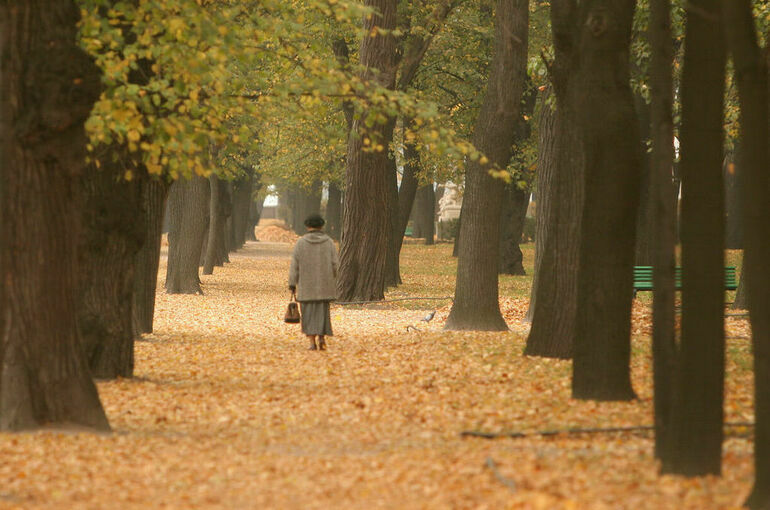 Синоптик допустил приход бабьего лета в Центральную Россию в конце сентября
