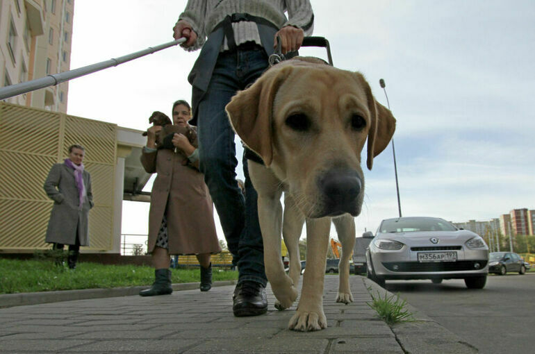 Guide dogs for the blind want to be allowed to walk without a muzzle