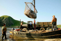 В парламенте обсудят целесообразность инвестквот для рыболовов