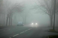 Россиянам напомнили о правилах вождения во время тумана
