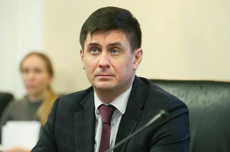 Сенатор Деньгин заявил, что ЕС будет молить Россию о пощаде