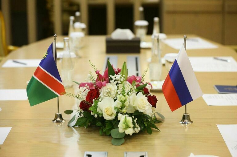 Матвиенко выступила за прямые контакты между парламентариями РФ и Намибии