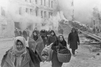 Суд Ленобласти признал факт геноцида в годы Великой Отечественной войны