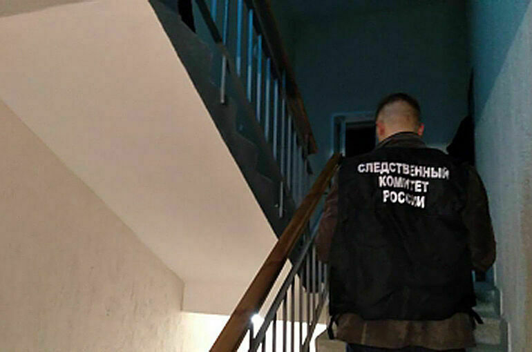 Школьник ударил одноклассницу ножом в Костроме