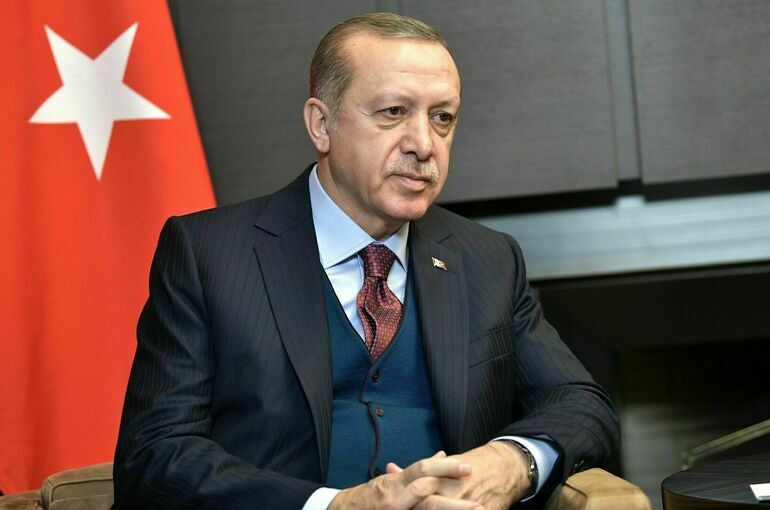 Эрдоган заявил, что целью Турции является скорейшее перемирие на Украине