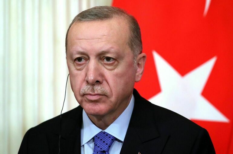Песков рассказал об интересе Эрдогана к созданию газового хаба в Турции