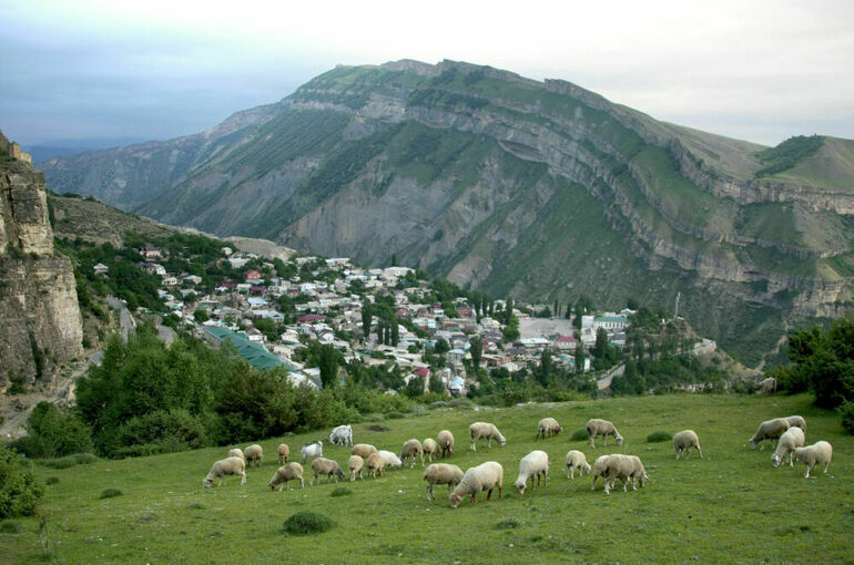Дагестанские депутаты внесли законопроект о борьбе с деградацией пастбищ