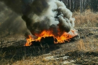 В Тюменской области могут ввести третий класс пожарной опасности