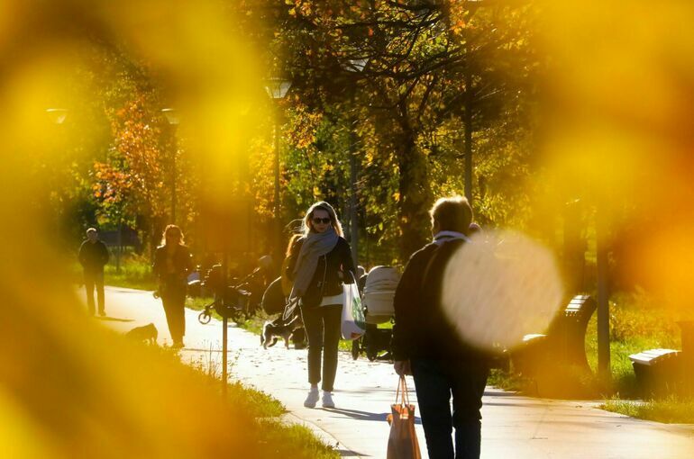 Синоптик заявил об окончании золотой осени в Москве