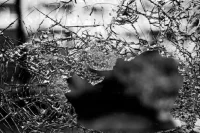 Украинские военные обстреляли торговый центр в Белгородской области