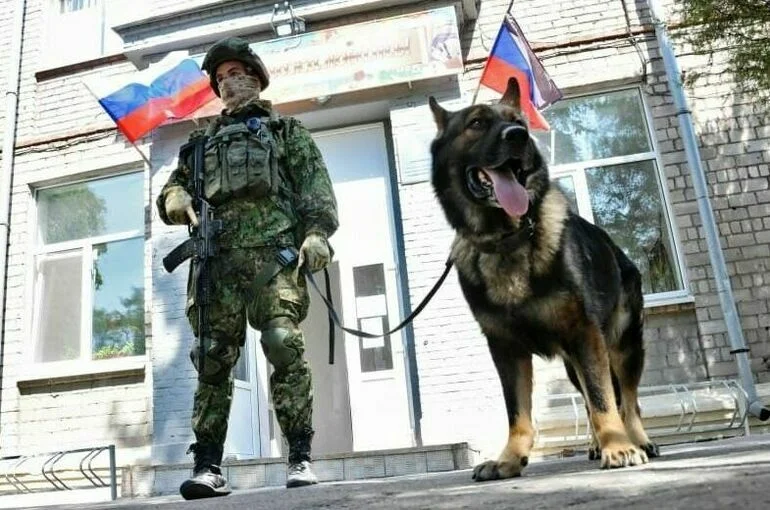 Что означает военное положение и режимы разного уровня реагирования