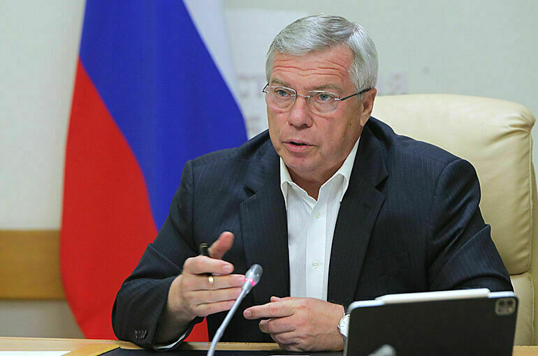 Ростовский губернатор заявил, что запрет на передвижение в регионе не вводится