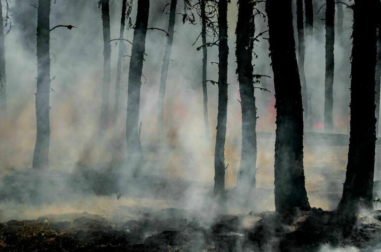 На Дальнем Востоке продолжают гореть леса