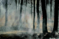 На Дальнем Востоке продолжают гореть леса