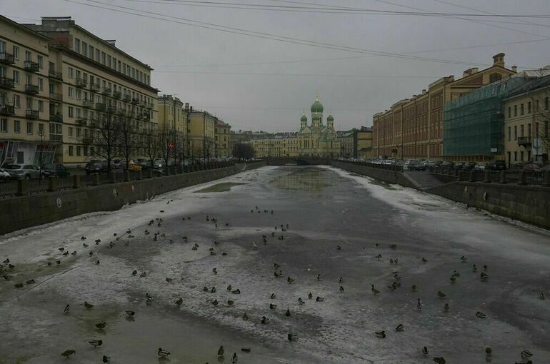 В Петербурге на выходных потепление сменится резким похолоданием