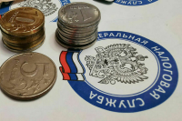 Совет Федерации одобрил закон о едином налоговом счете