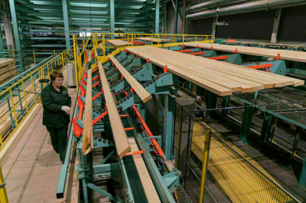 Инвесторам дали больше времени на строительство лесоперерабатывающих заводов