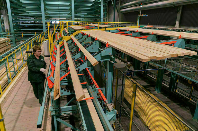 Инвесторам дали больше времени на строительство лесоперерабатывающих заводов