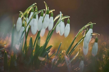 Nečetli červenou knihu - budete číst trestní zákoník