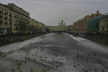 Синоптик предупредил о похолодании в Петербурге с 13 ноября