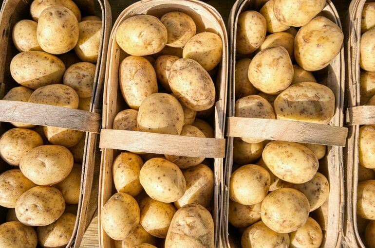 Диетолог рассказала, какой способ приготовления картофеля самый полезный