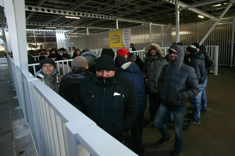 Колокольцев рассказал, сколько в России нелегальных мигрантов