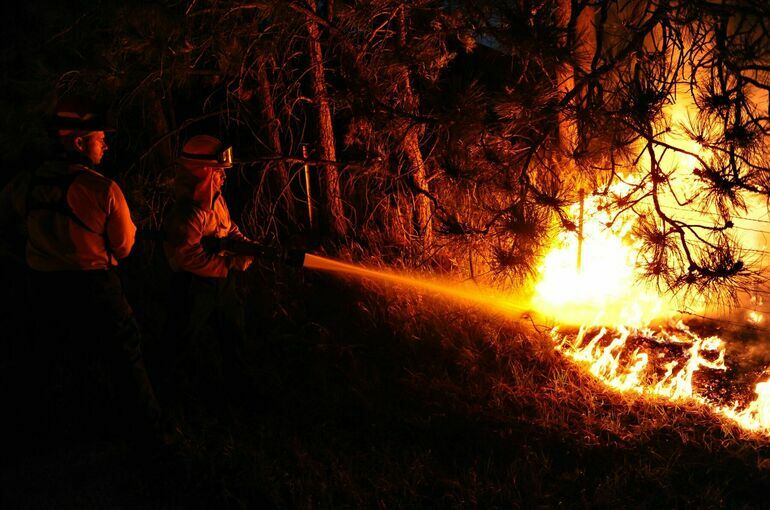 В Минприроды подготовили поправки об оплате сверхурочных при тушении лесных пожаров 