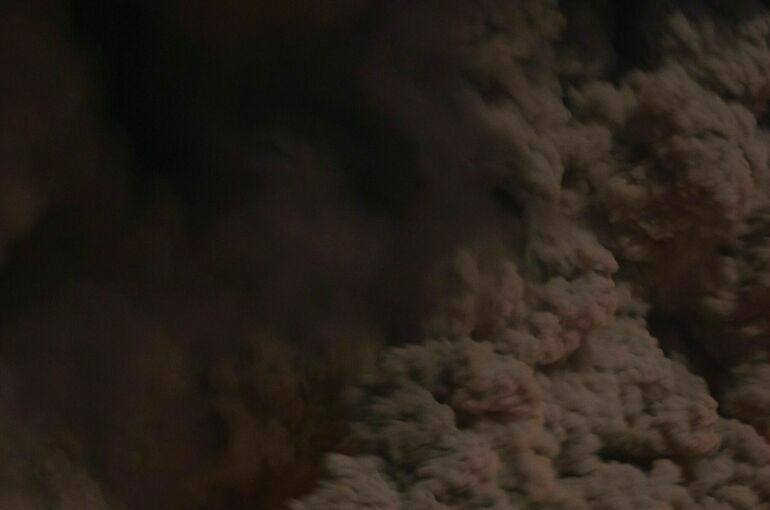 Видео пожара недалеко от ТЦ «Реутов парк» в Балашихе появилось в СМИ