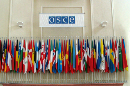Украина объявила бойкот работе ПА ОБСЕ при представительстве России