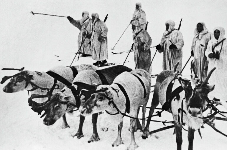 Сенатор предложила изучать в школе подвиги оленной армии в годы войны