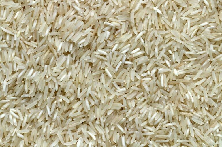 Россия продлит запрет на экспорт риса на полгода