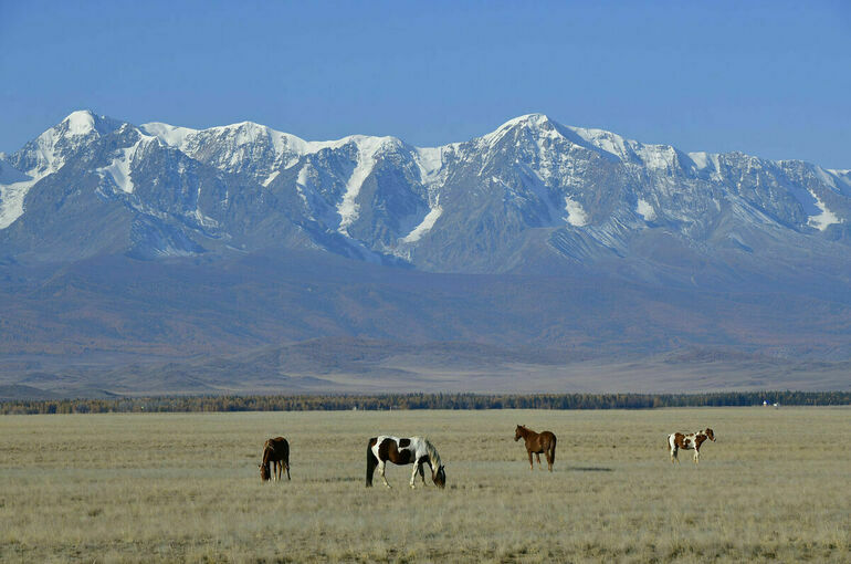 В кабмине подготовили правовую базу для создания системы экологического мониторинга в РФ