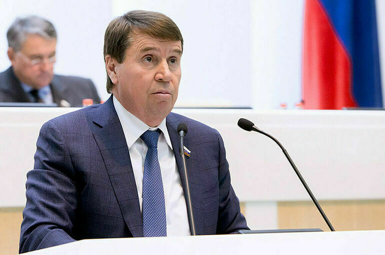 Цеков предупредил Евросоюз о планах Киева сорвать транзит аммиака
