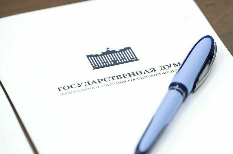 В Госдуме отменили «правительственный час» с участием главы Минцифры 7 декабря