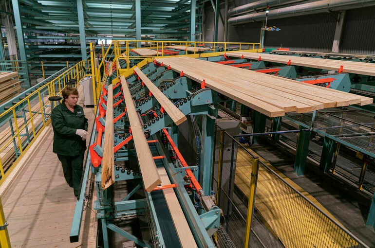 В Еврейской автономной области построят деревоперерабатывающий завод