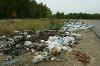 Сенатор Двойных рассказал о мерах по борьбе с мусором в лесах
