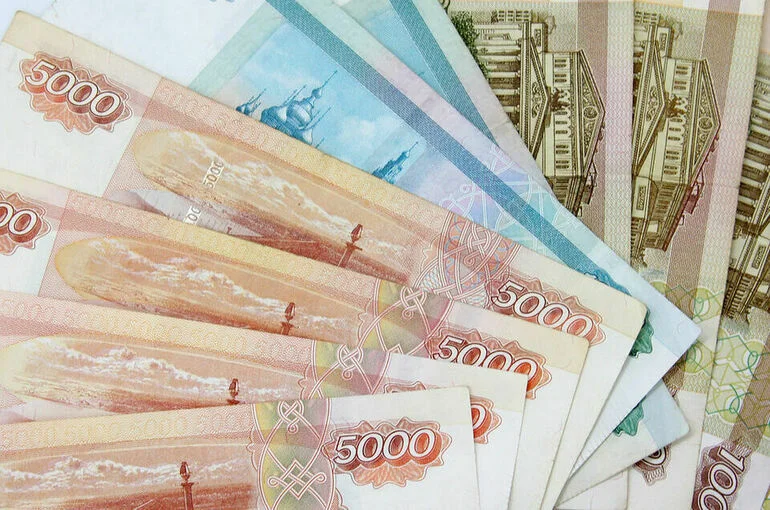 Законодатели проверят, как будут потрачены деньги на социалку