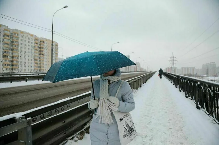 Москвичам пообещали тропический дождь в понедельник