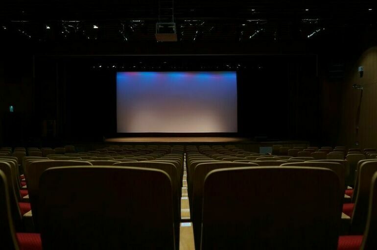 Комитет Совфеда предложил поддержать кинотеатры на фоне падения сборов
