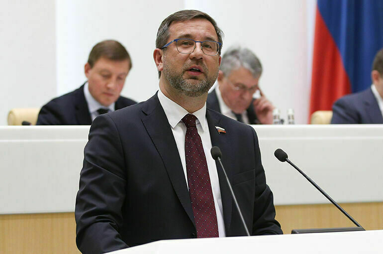 Сенатор Владимиров назвал главные цели цифровизации судебной системы