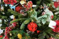 Тимофей Баженов назвал устаревшей традицию наряжать на Новый год живую елку