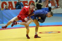 В России появился День самбо