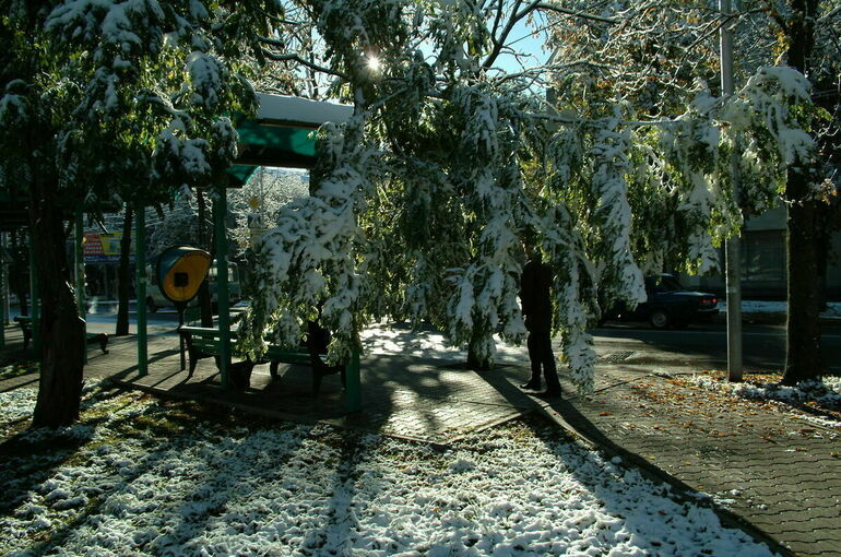 Потепление и снегопады пообещали жителям Москвы и Подмосковья к концу недели