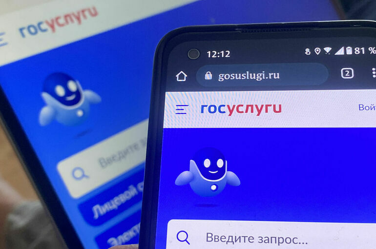 В Минцифры попросили россиян обновить приложение «Госуслуги»