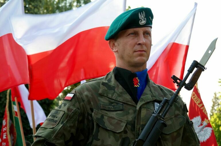 Рогов заявил об участии в боевых действиях на Украине в 2022 году более 10 тысяч поляков