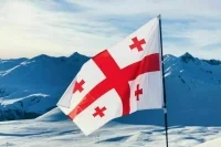 Президент Грузии ушла от ответа на вопрос о возможном помиловании Саакашвили