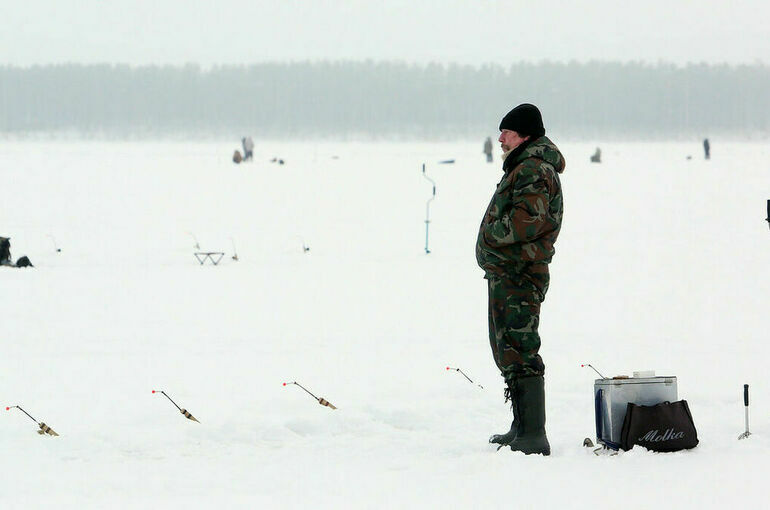 В России планируют создать экспериментальный сервис для рыболовов-любителей