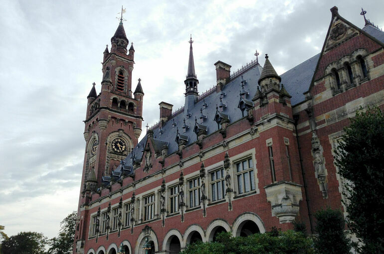 В МИД РФ раскритиковали суд Гааги за оправдание женщины, из-за которой пострадал мальчик из России